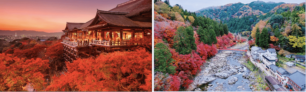 NGÀY 2: OSAKA – KYOTO – AICHI (Ăn: S/T/C)